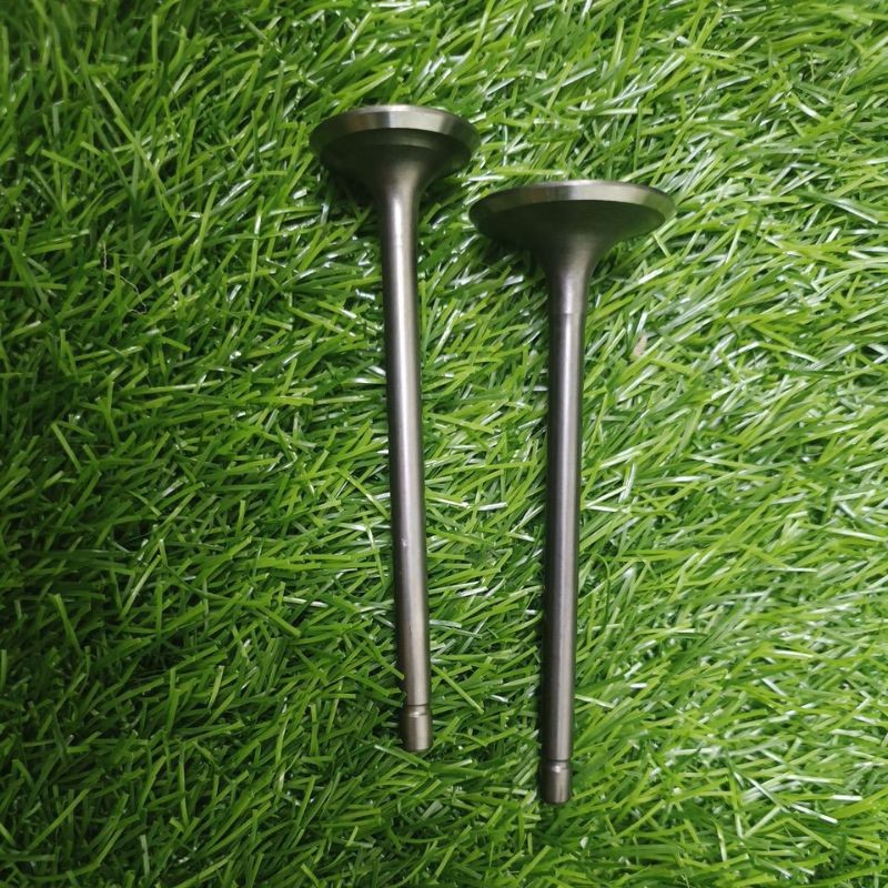 ATV Mikilon Hammer Pro U68 | Locin |200cc | Valve Set