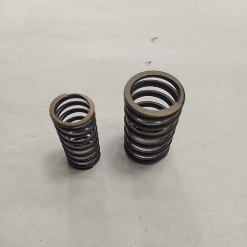 Ready Stock 📌Motorcycle 90cc Valve Spring