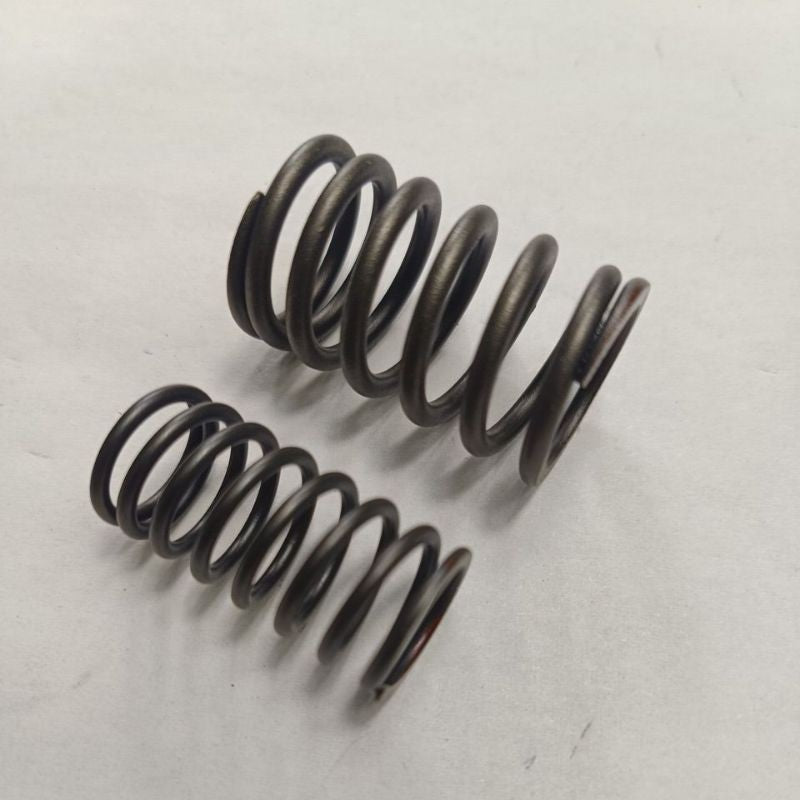 Ready Stock 📌Motorcycle 90cc Valve Spring