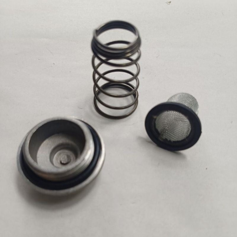 ATV GY6 Engine Oil Screw With Filter / Valve Cap with Oring (Set) / O Ring